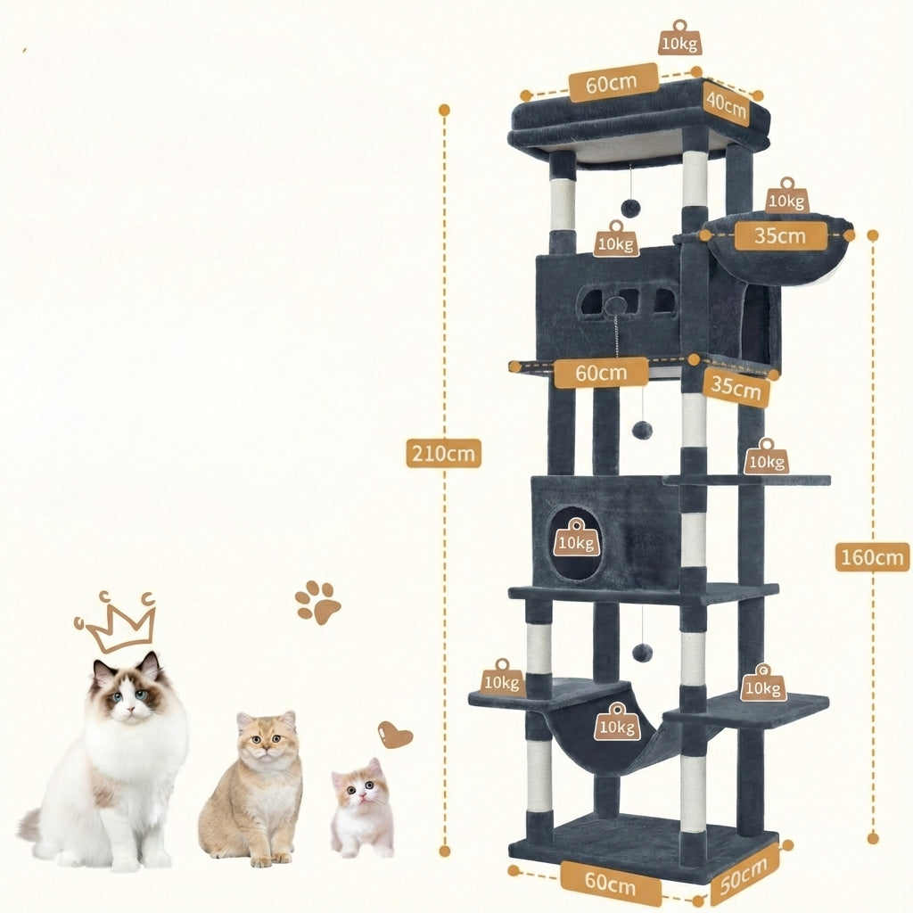 Arbre à Chat - Ulysse