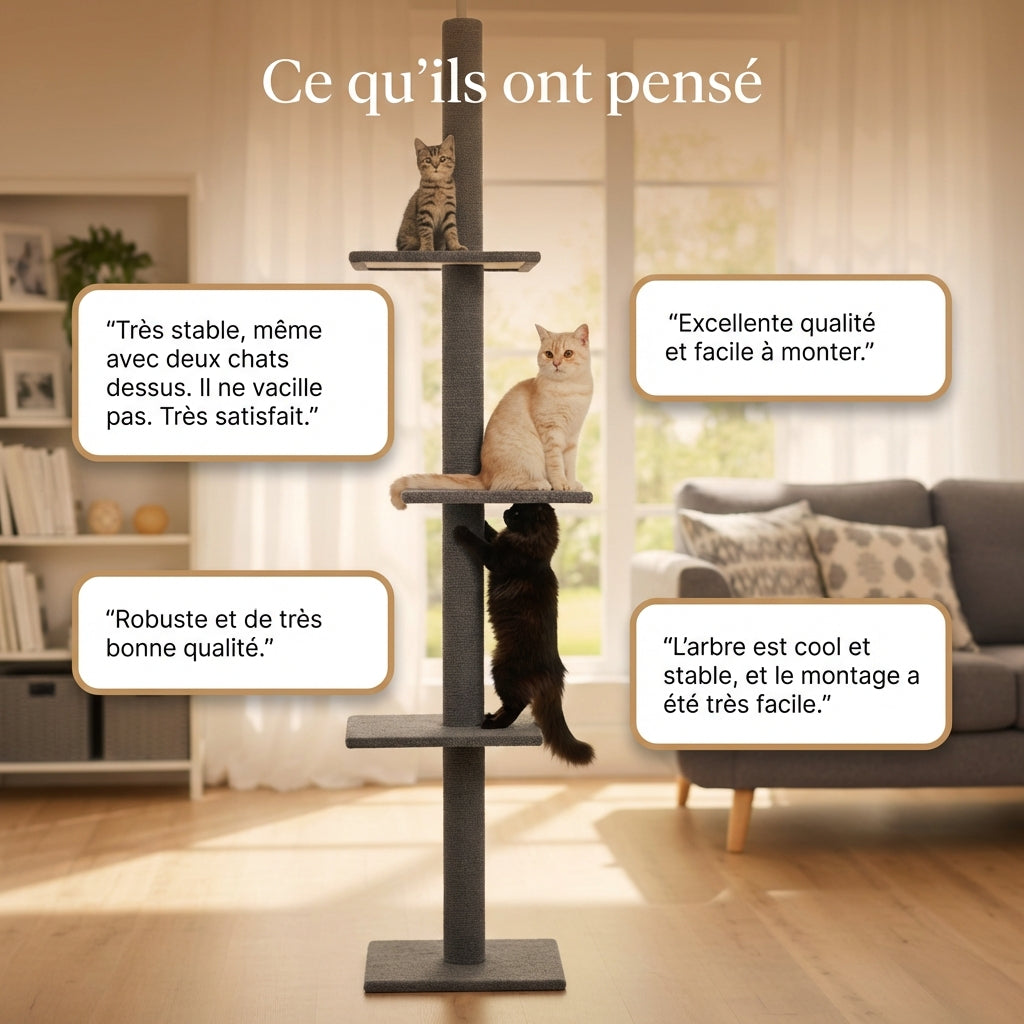 Arbre à Chat - Ziggy