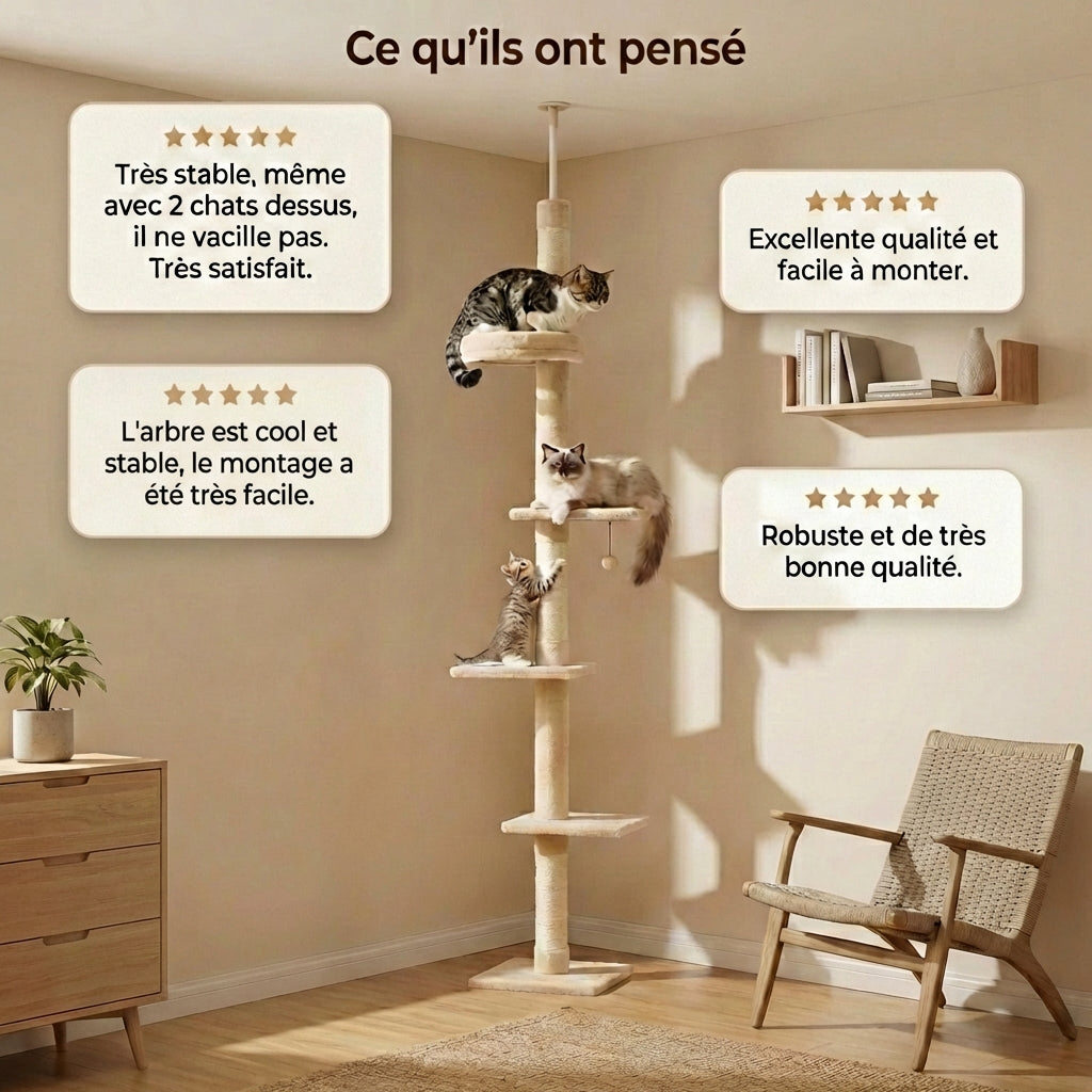 Arbre à Chat - Ruby