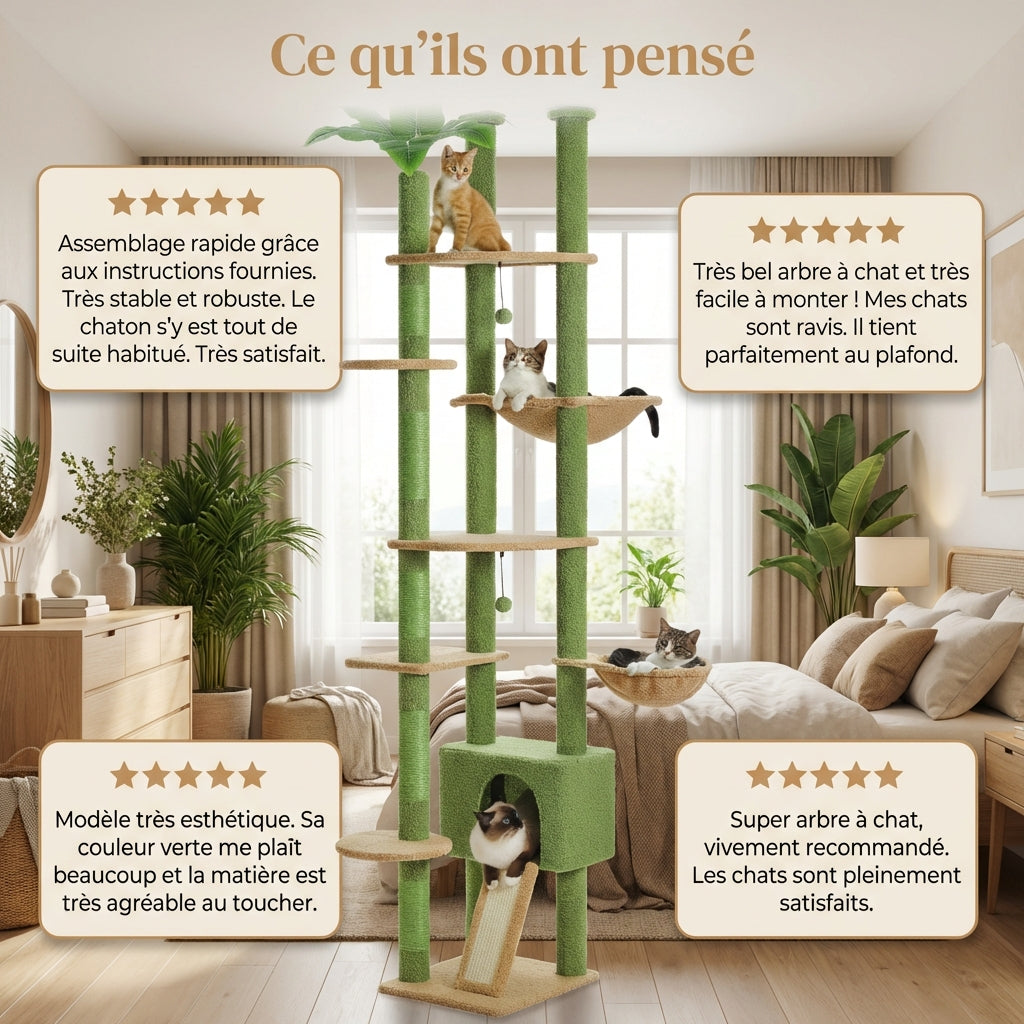 Arbre à Chat - Koda