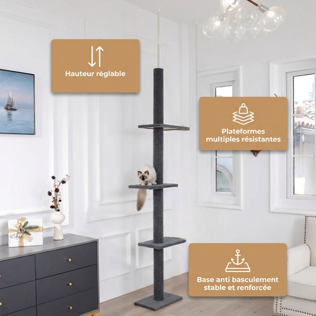 Arbre à Chat - Ziggy