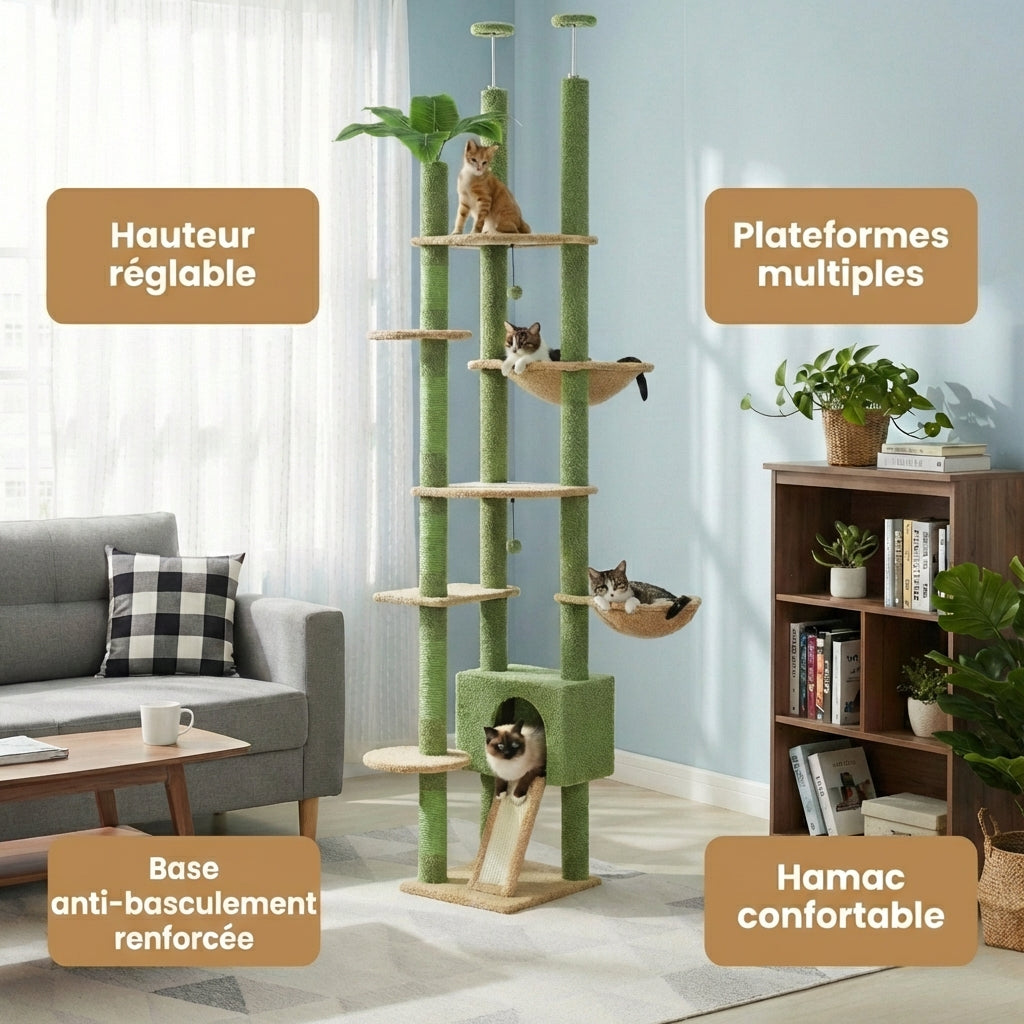 Arbre à Chat - Koda