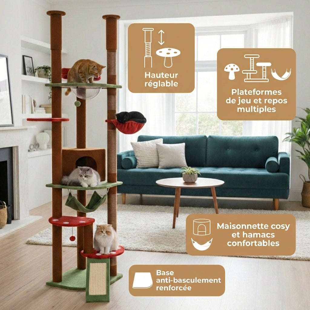 Arbre à Chat - Olmo