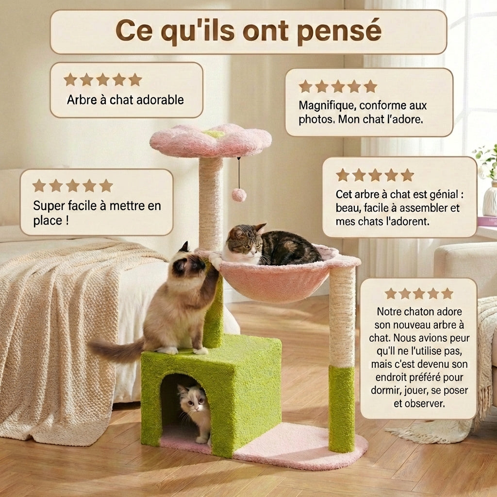 Arbre à Chat - Flora