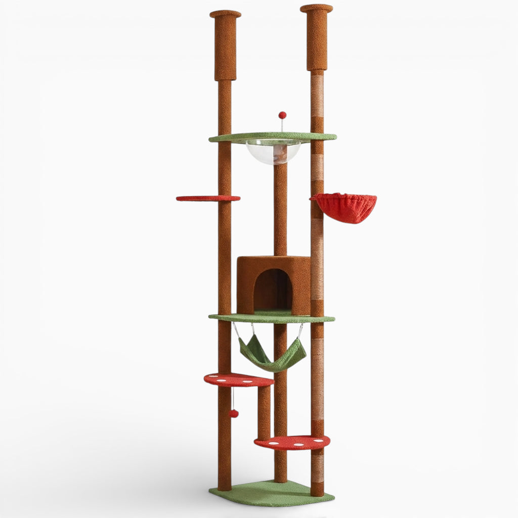 Arbre à Chat - Olmo