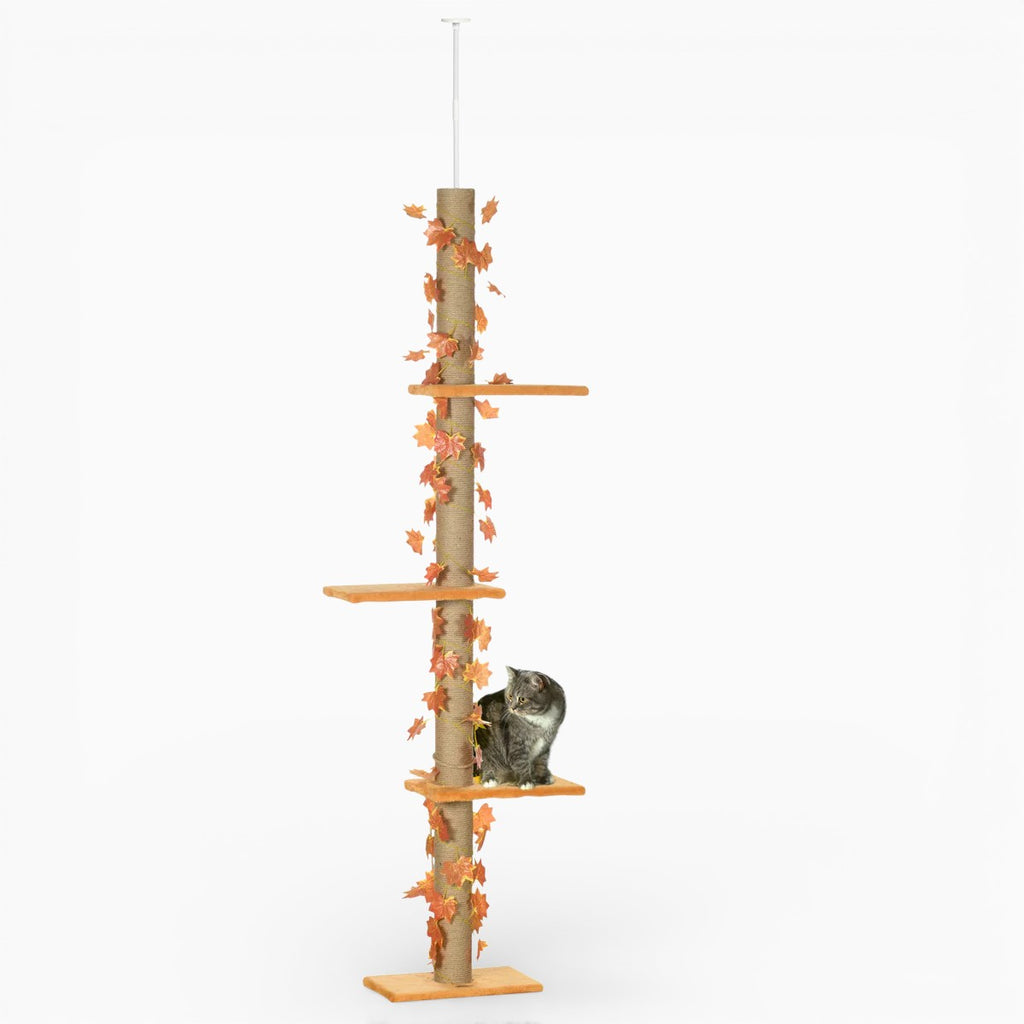 Arbre à Chat - Kira