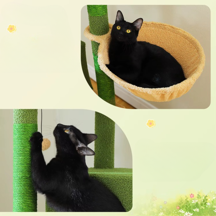 Arbre à Chat - Pacha