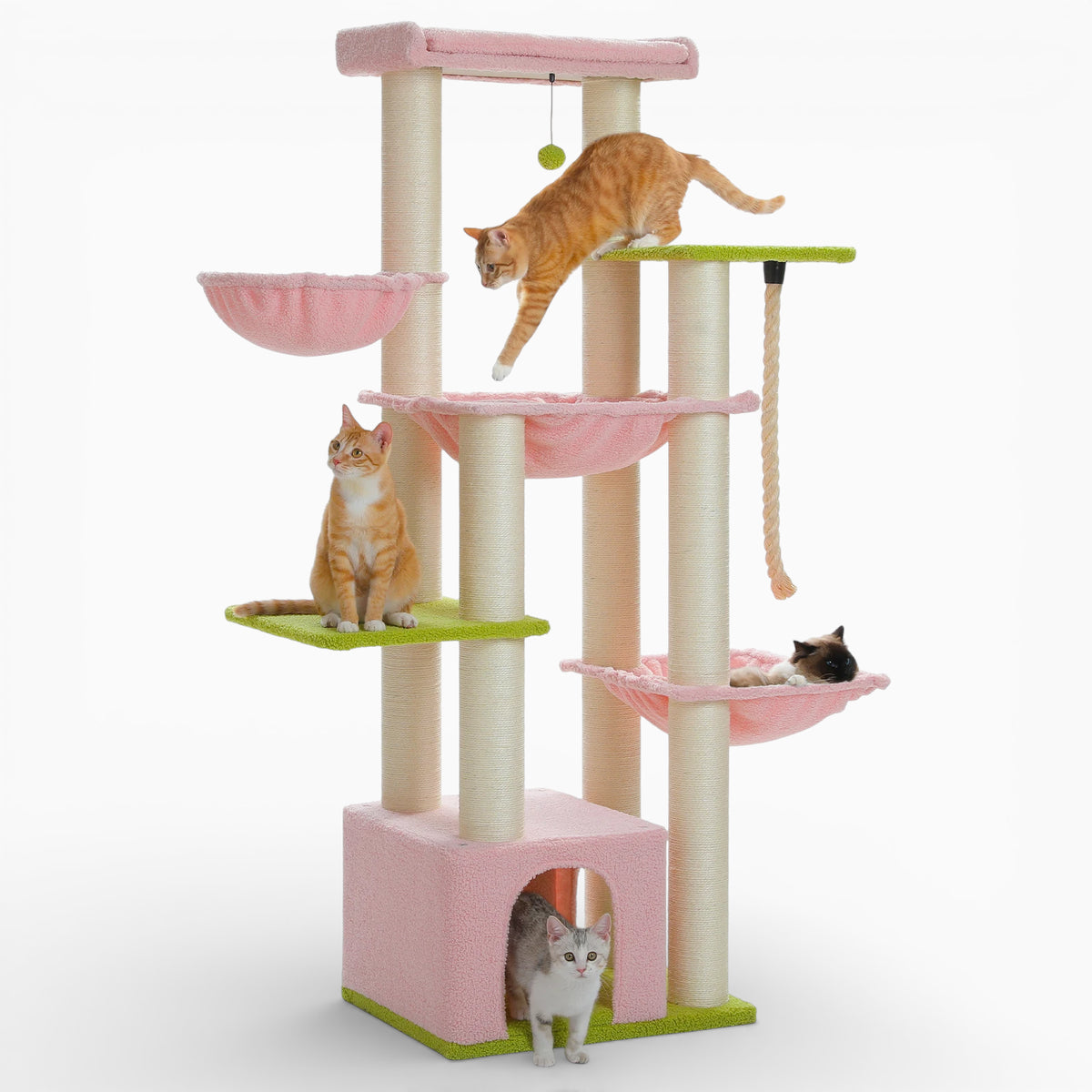 Arbre à Chat - Marlo