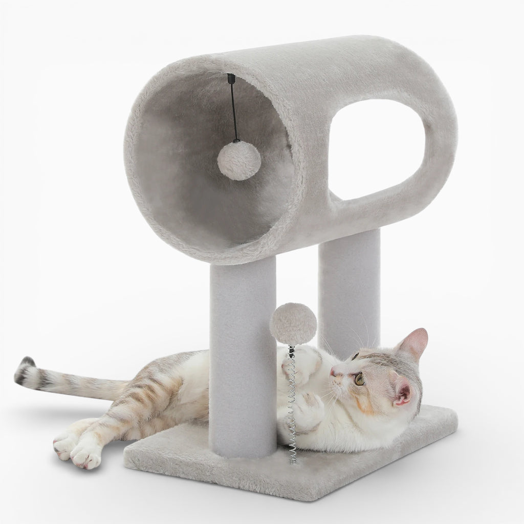 Arbre à Chat - Ravel