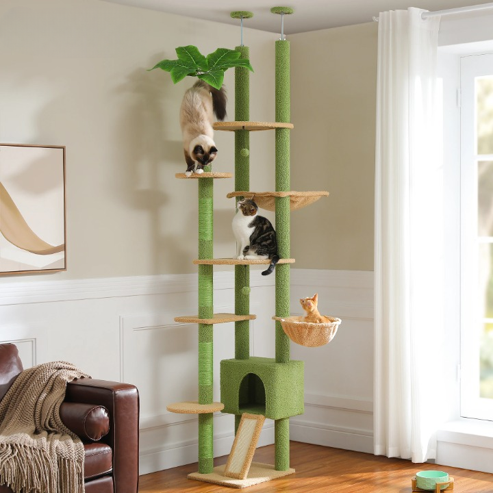 Arbre à chat cactus vert sol-plafond avec hamac, niche et griffoirs