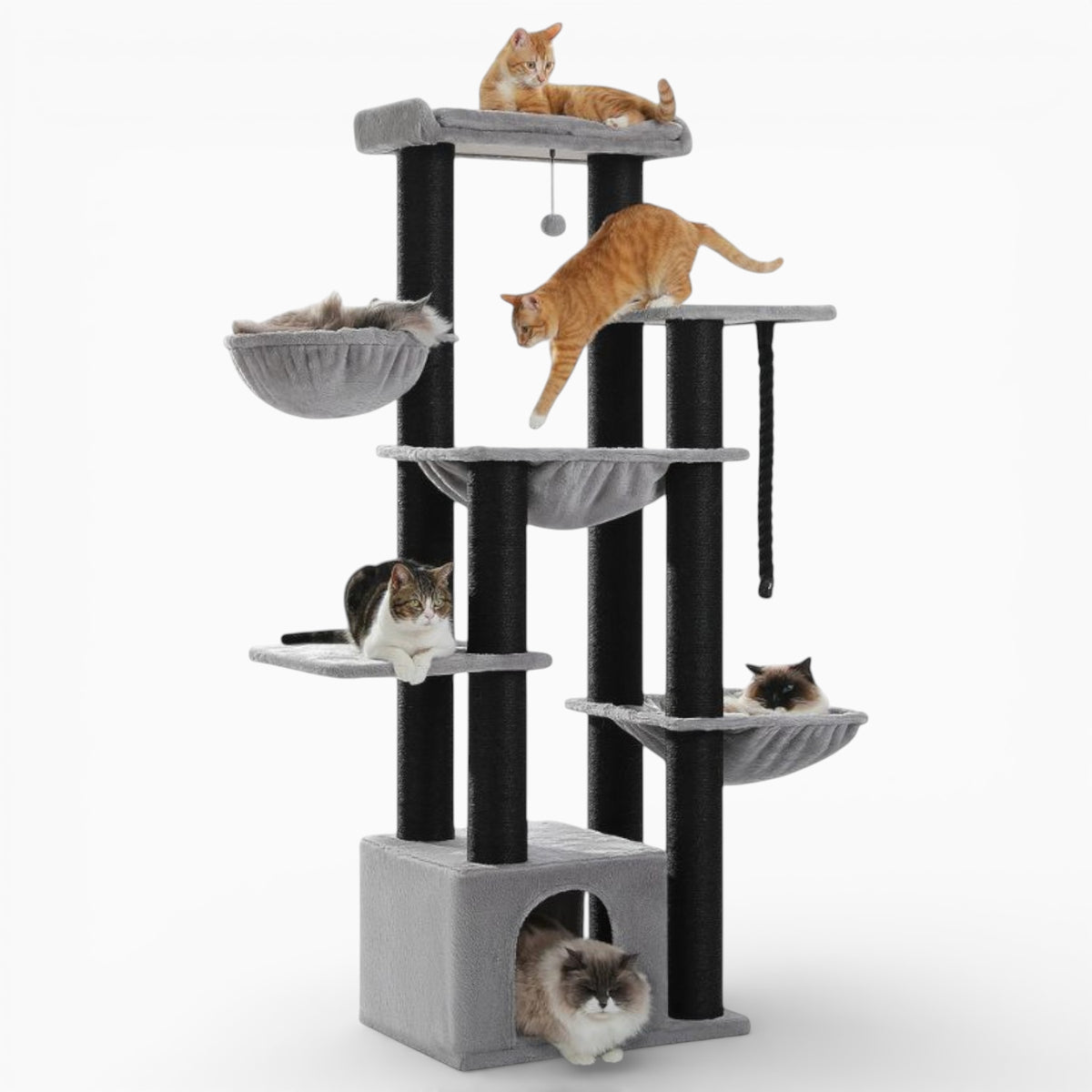 Arbre à Chat - Marlo