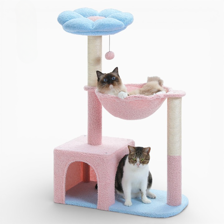 Arbre à Chat - Flora