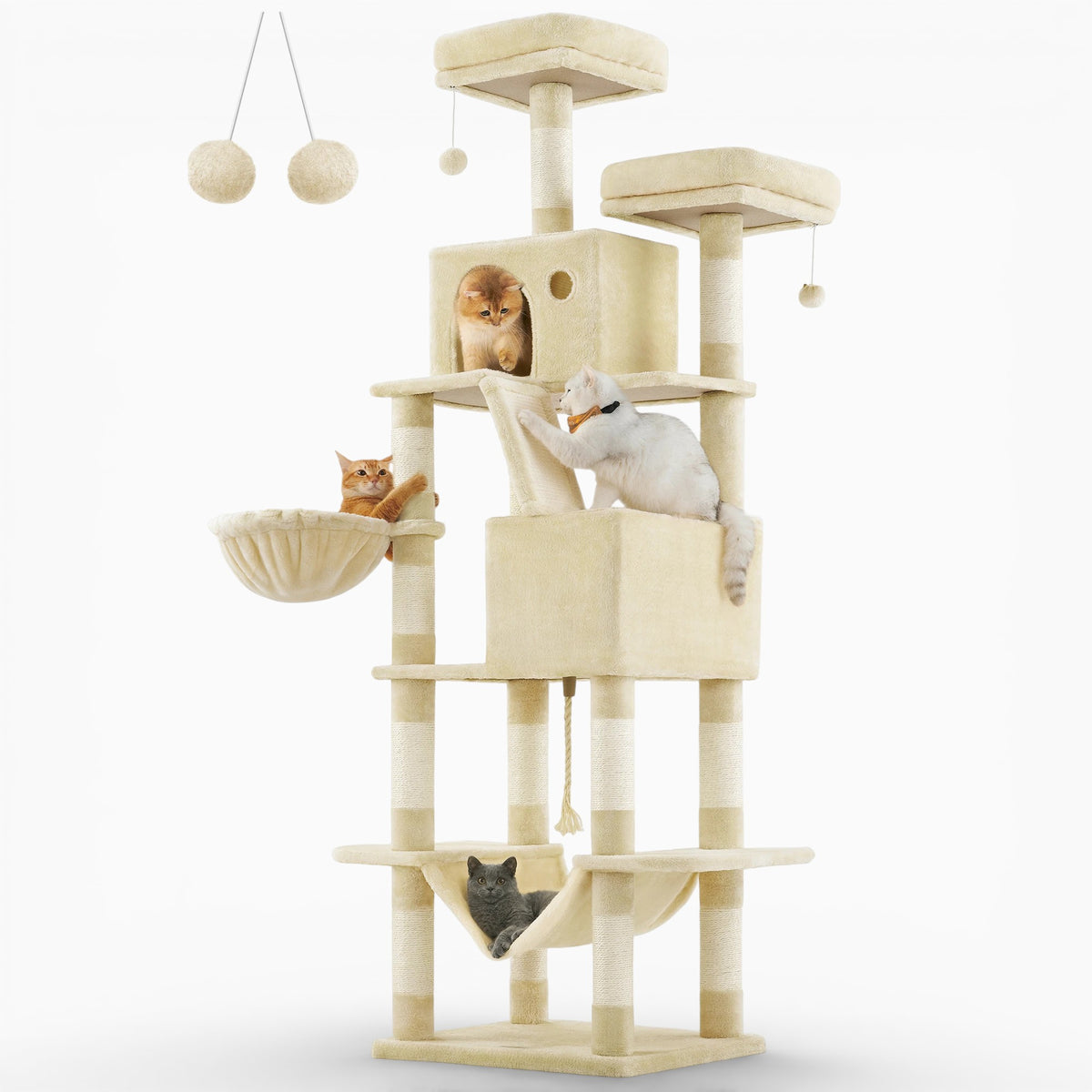 Arbre à Chat - Rocky