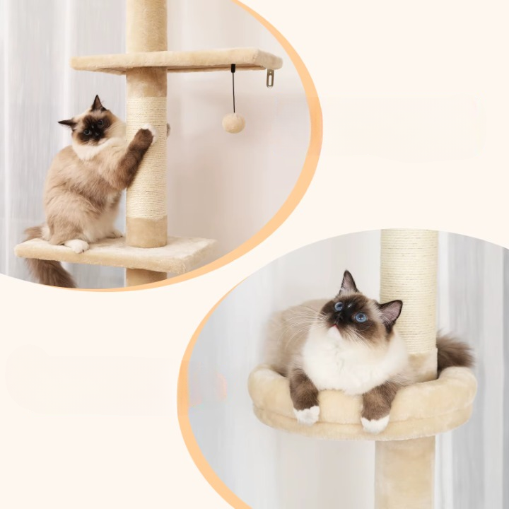 Arbre à chat beige et blanc ajustable de 243 à 273 cm – Arbre à chat du sol au plafond avec poteaux à griffer et jouets