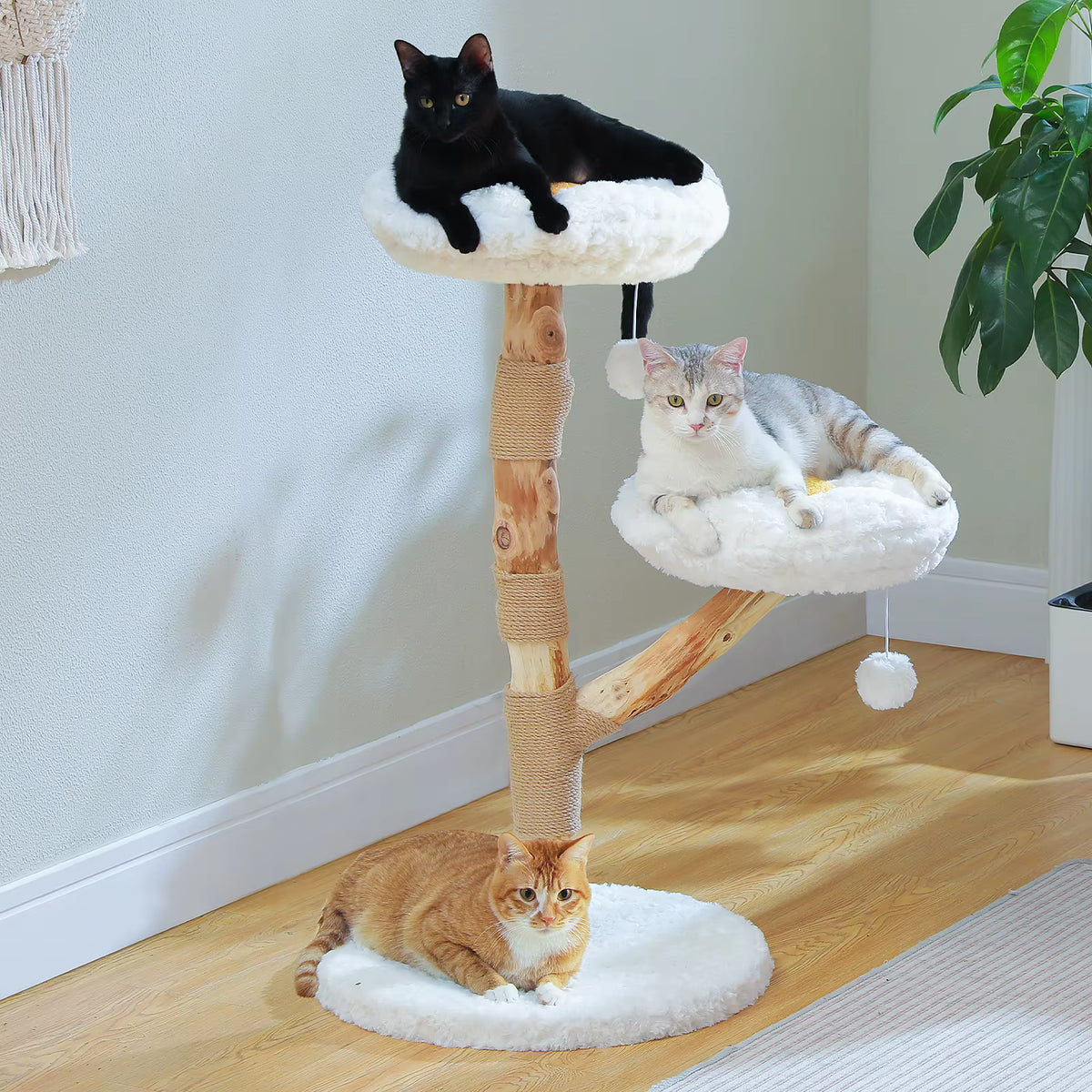 Arbre à chat moderne avec lit condo de luxe et griffoirs en bois