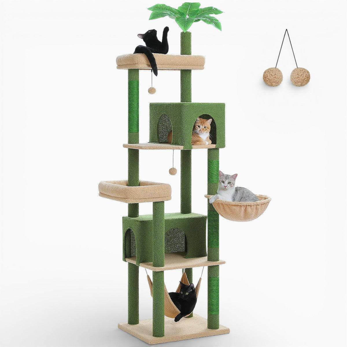 Arbre à Chat - Pacha