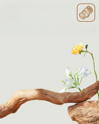 Arbre à chat moderne style fleur avec poteaux à griffer en bois massif, lit condo de luxe pour chats d’intérieur