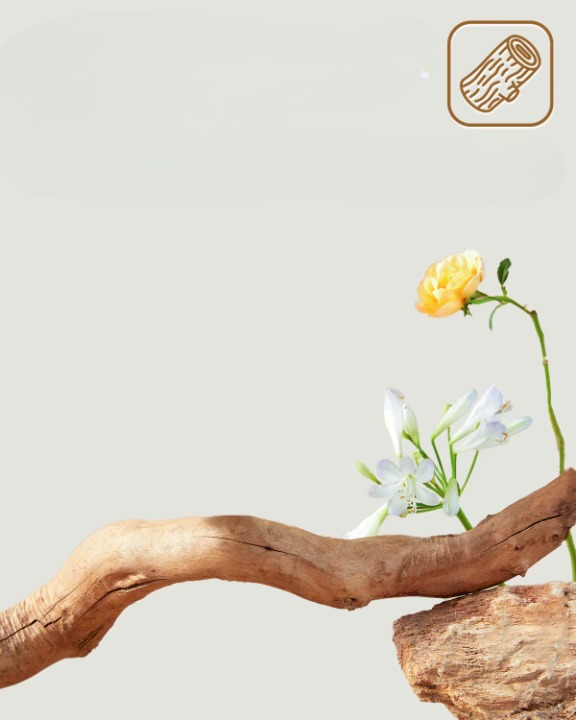 Arbre à chat moderne style fleur avec poteaux à griffer en bois massif, lit condo de luxe pour chats d’intérieur