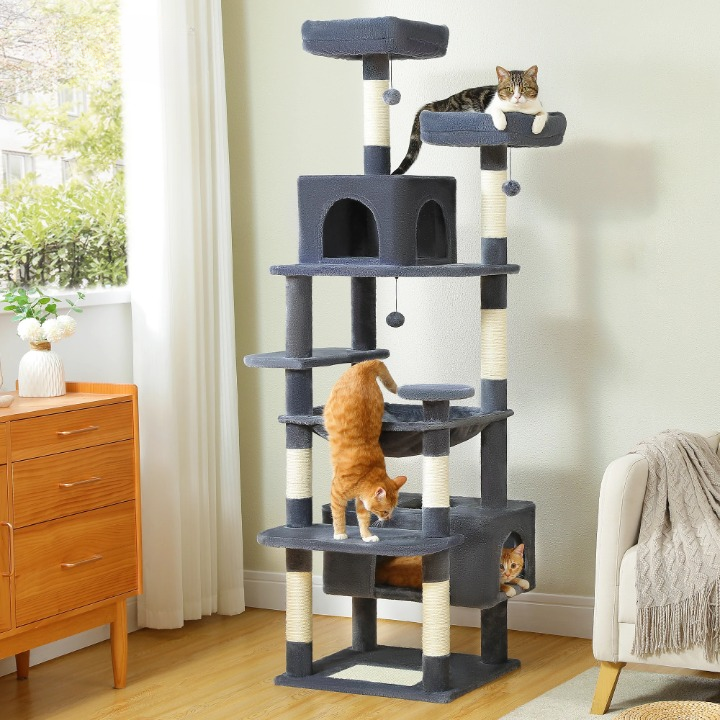 Arbre à Chat - Dyno