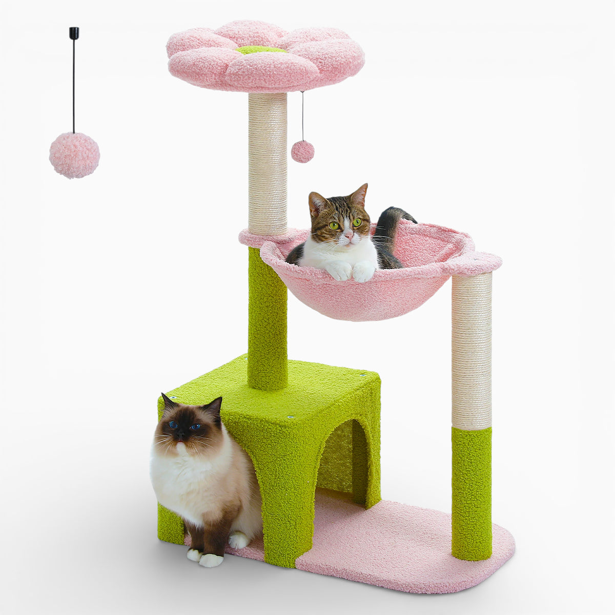 Arbre à Chat - Flora