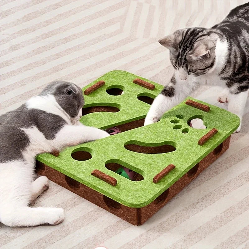 Jeu Chat Interactif Chasse aux Balles - Jouet Stimulation Mentale Anti-Ennui