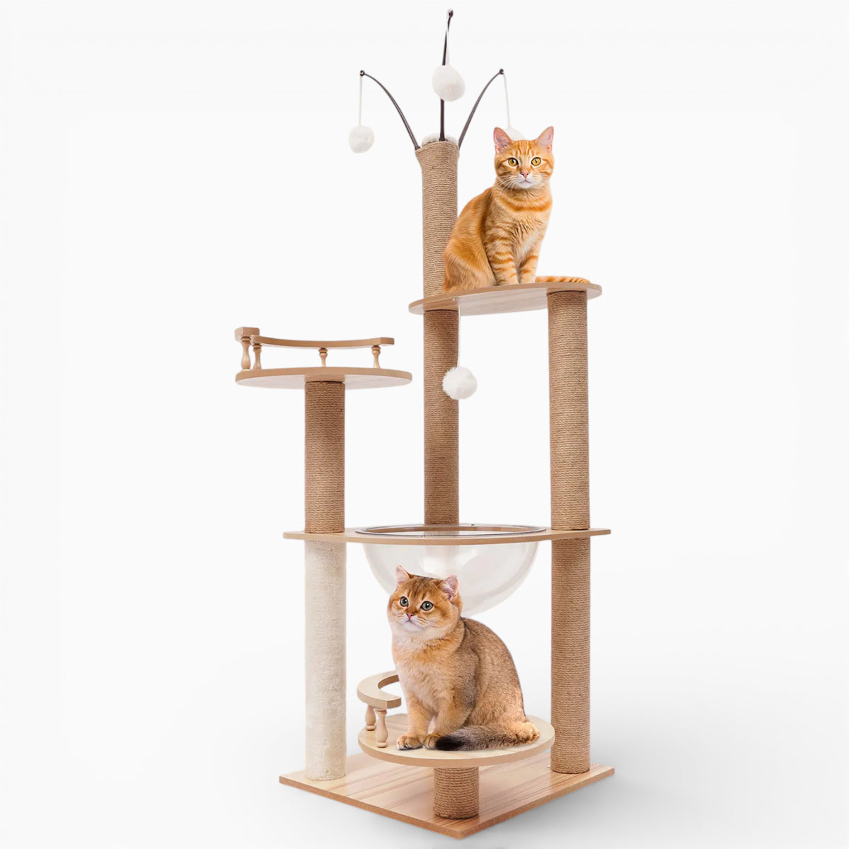 Arbre à Chat - Oslo