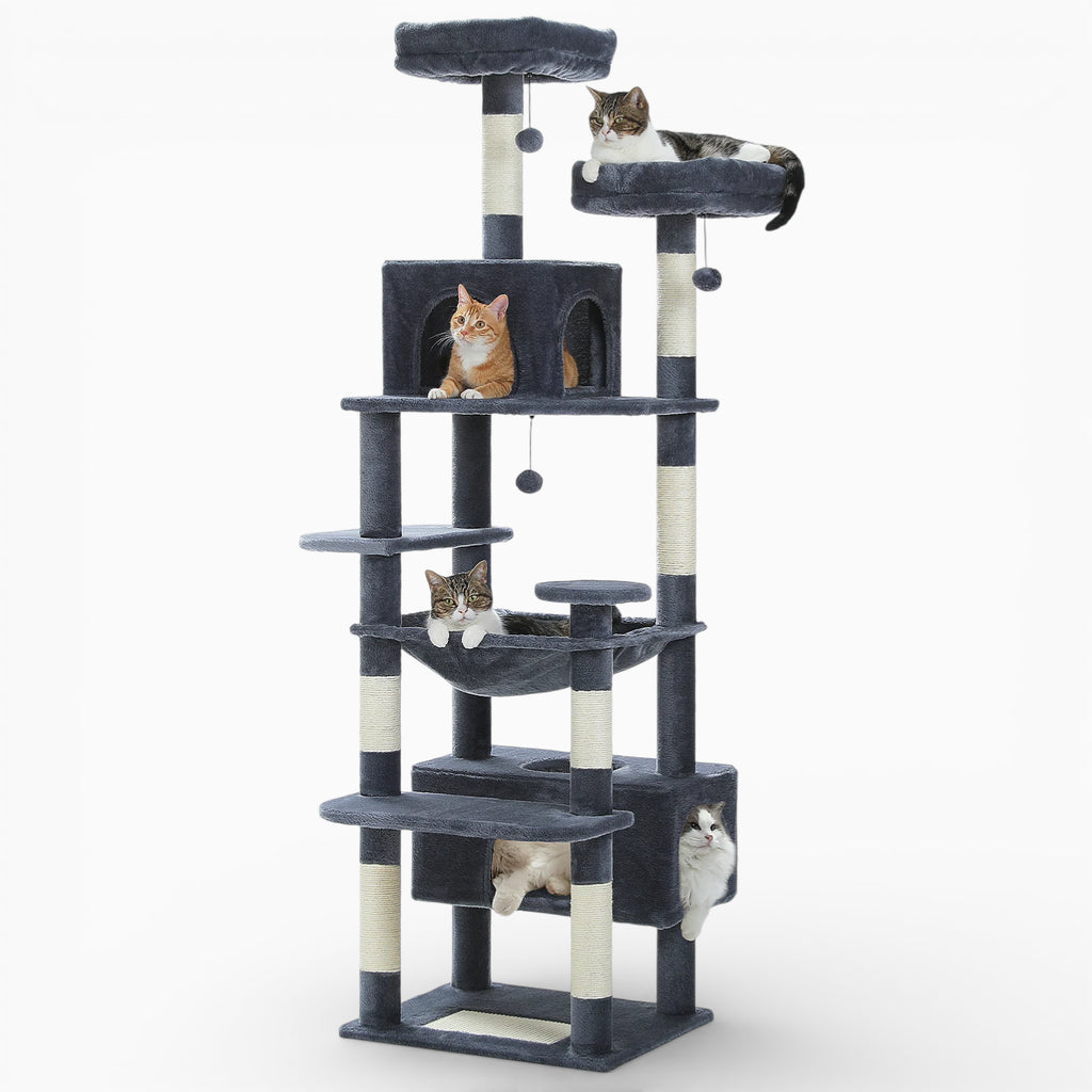Arbre à Chat - Dyno