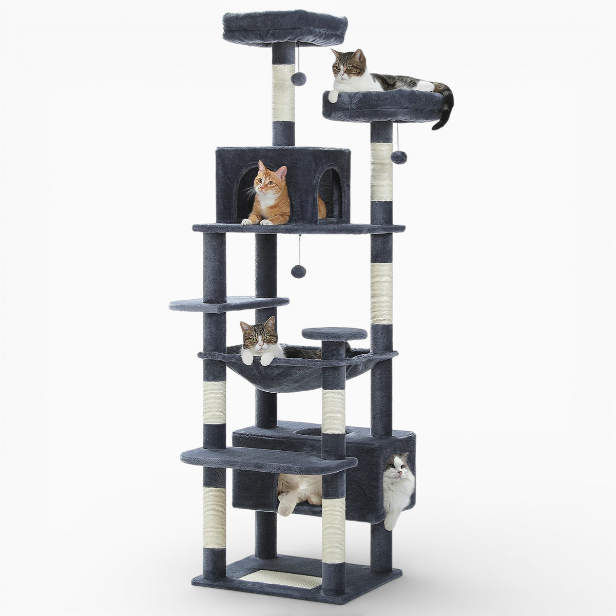 Arbre à Chat - Dyno