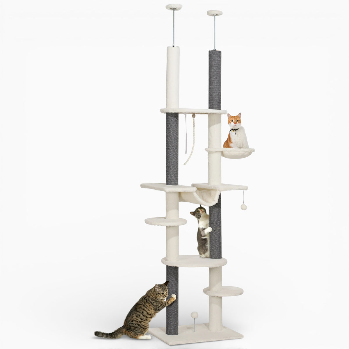 Arbre à Chat - Poppy