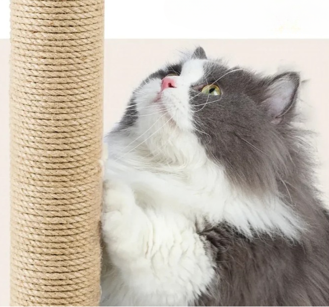 Arbre à chat gris 126 cm multi-niveaux avec griffoirs, perchoir, niche et hamac