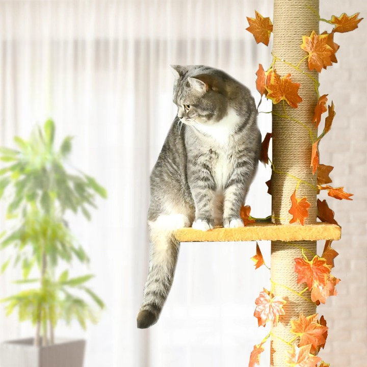 Arbre à chat du sol au plafond – Arbre à chat beige/orange multi-niveaux hauteur réglable 202 à 242 cm