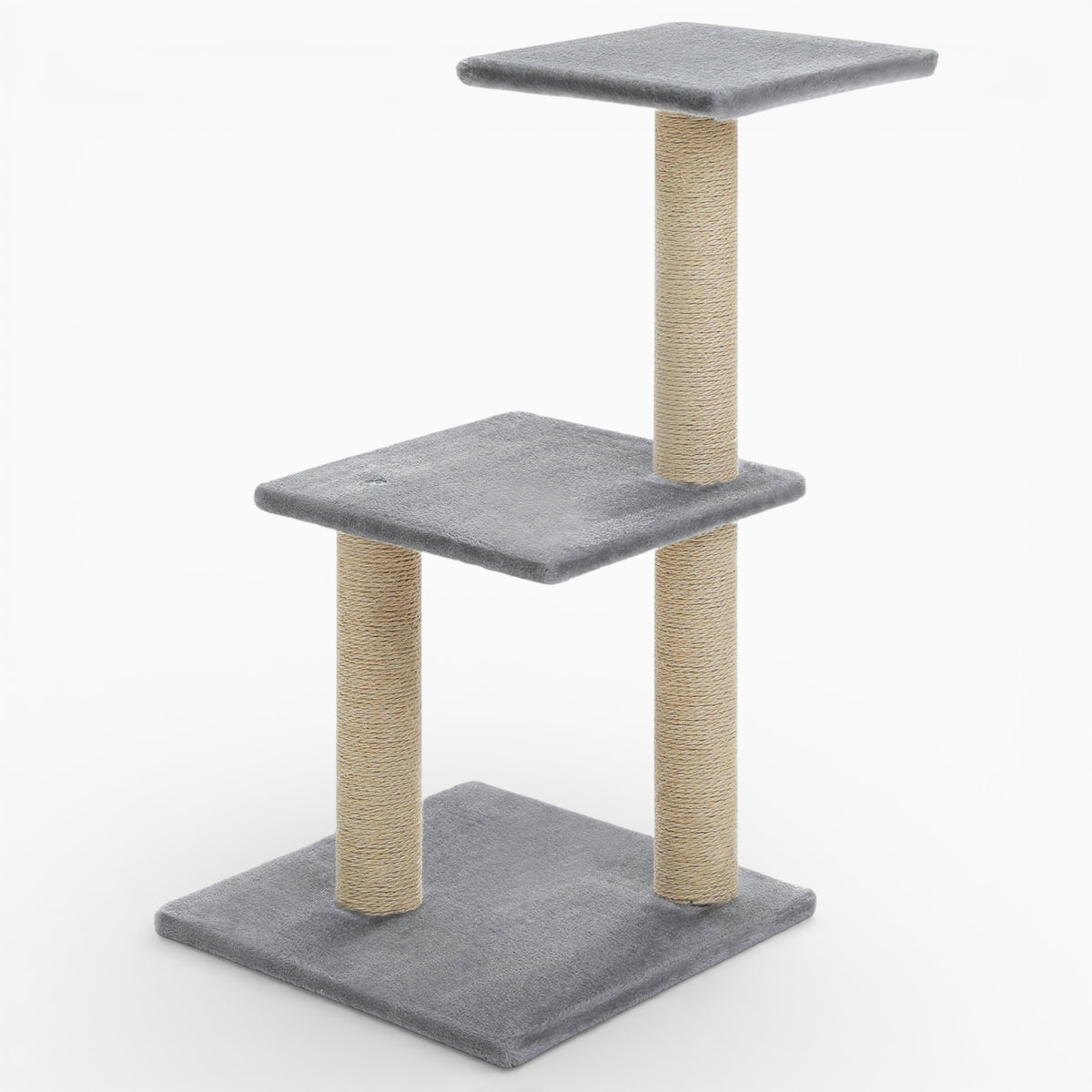 Arbre à Chat - Platon