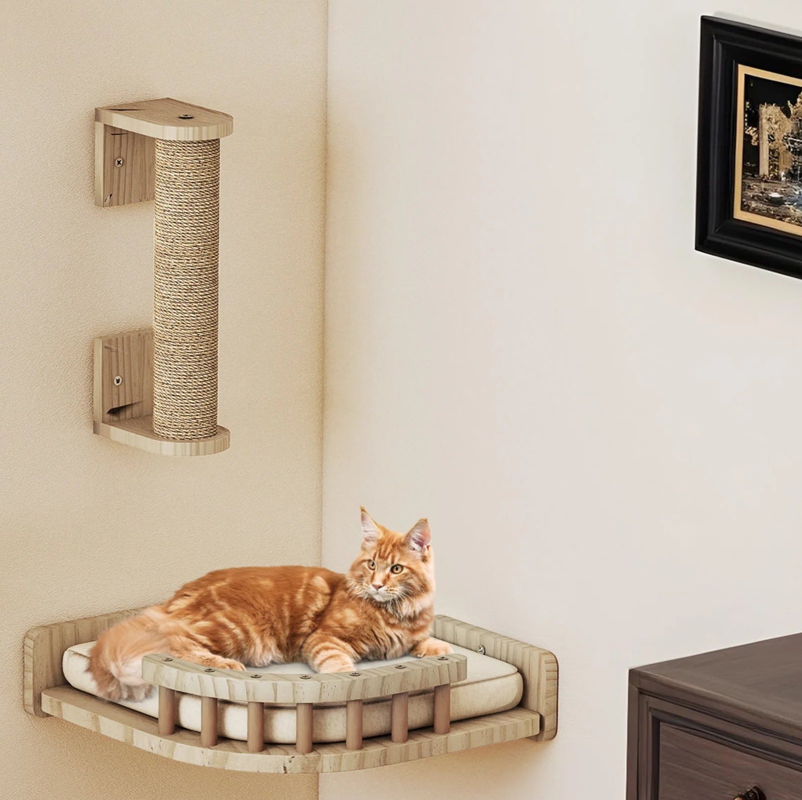 Arbre à Chat Mural en Bois – Ensemble Complet 7 Pièces avec Griffoirs, Lit et Escaliers