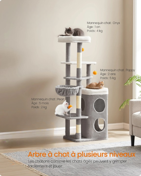 Arbre à Chat Gris 152 cm – Hamac, 2 Caches Spacieuses, 3 Griffoirs et Plateformes pour Chats