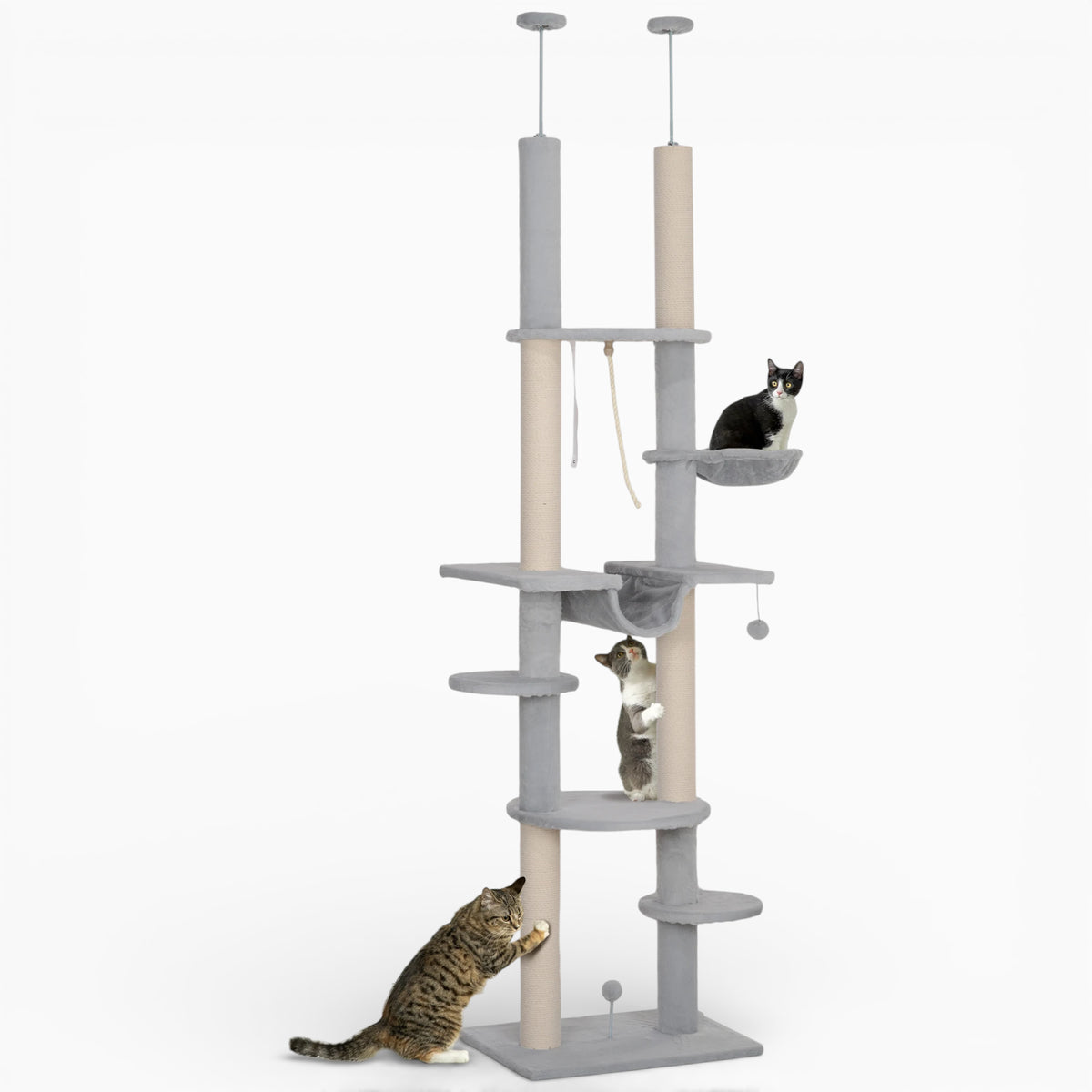 Arbre à Chat - Poppy