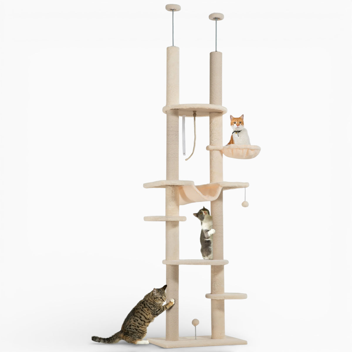 Arbre à Chat - Poppy