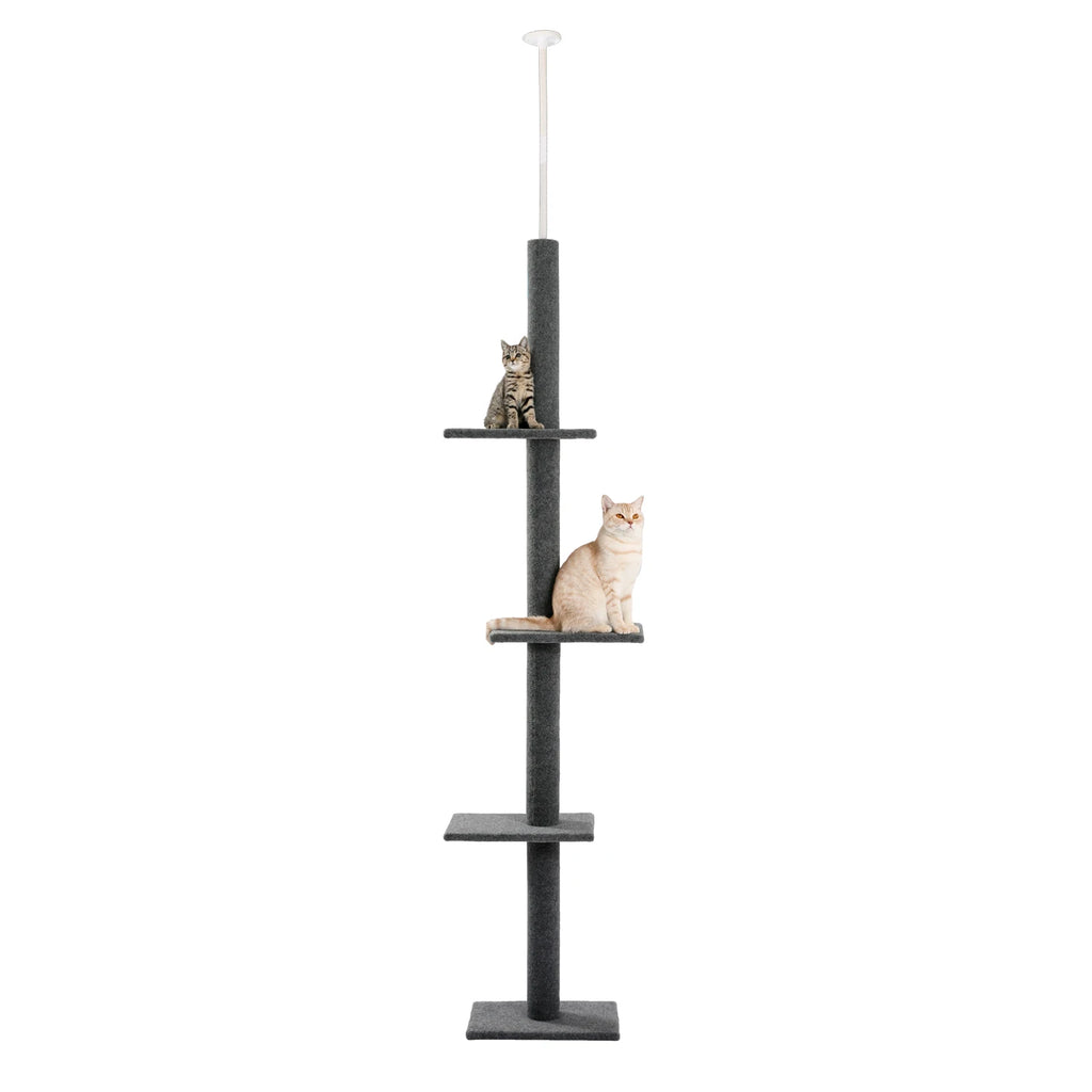 Arbre à chat noir ajustable de 243 à 273 cm – Arbre à chat du sol au plafond avec poteaux à griffer et jouets