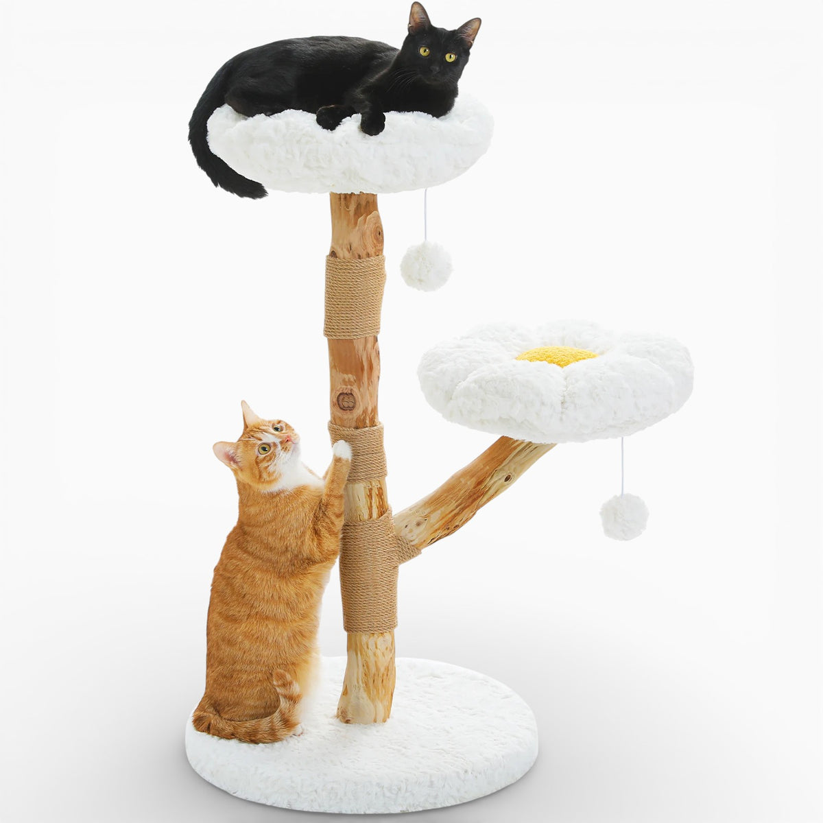 Arbre à Chat - Sunny