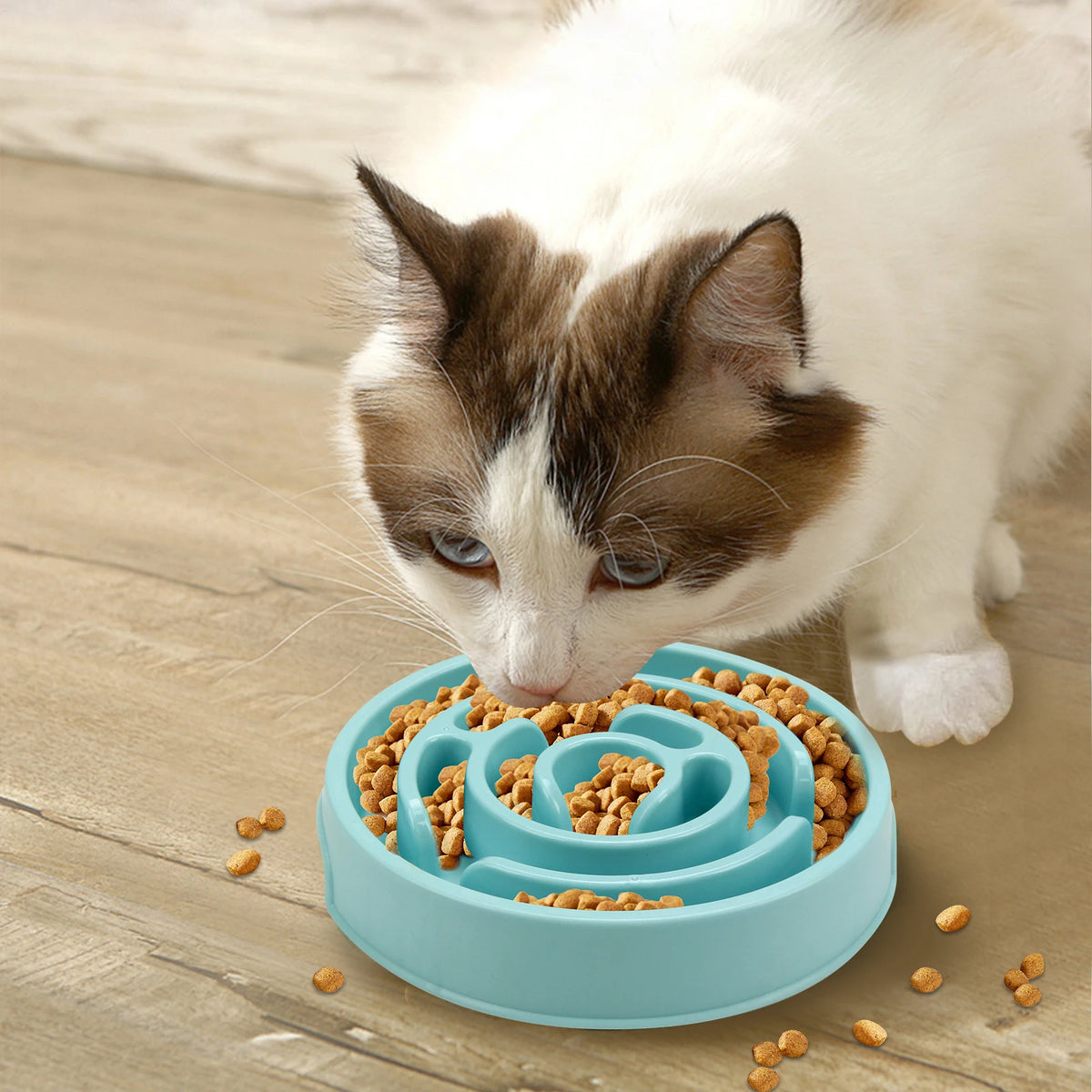 Gamelle anti-glouton pour chat