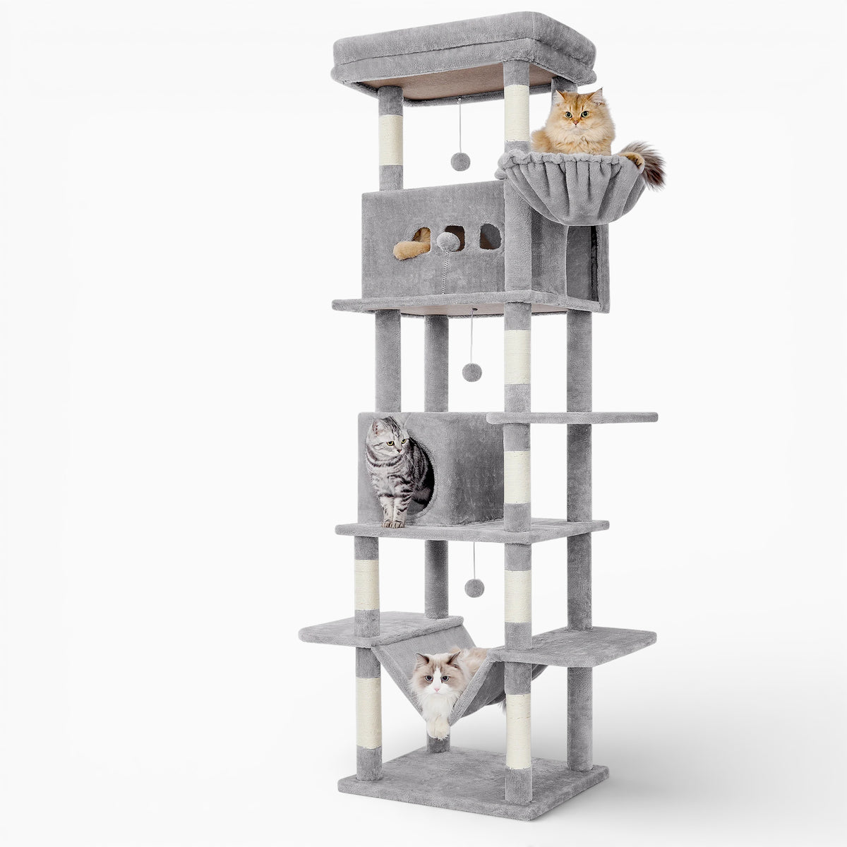 Arbre à Chat - Ulysse