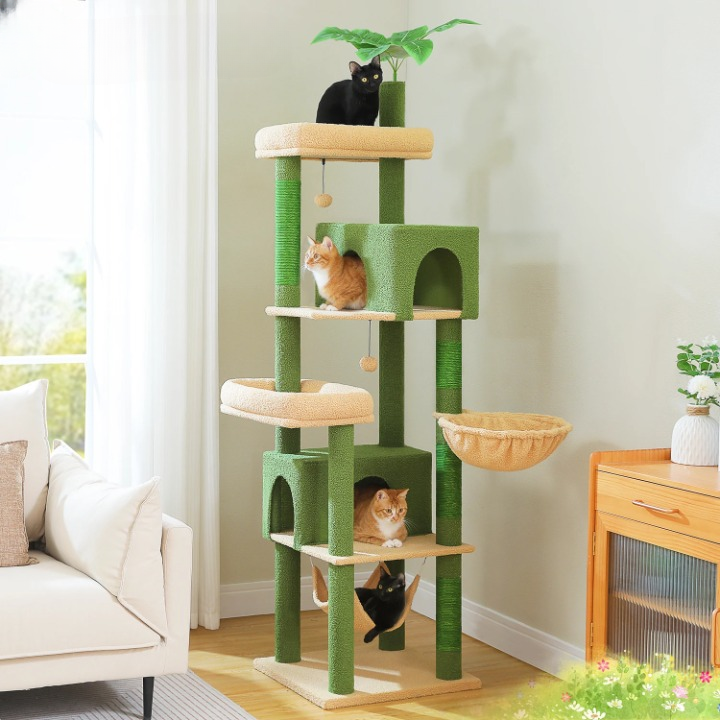 Arbre à Chat - Pacha