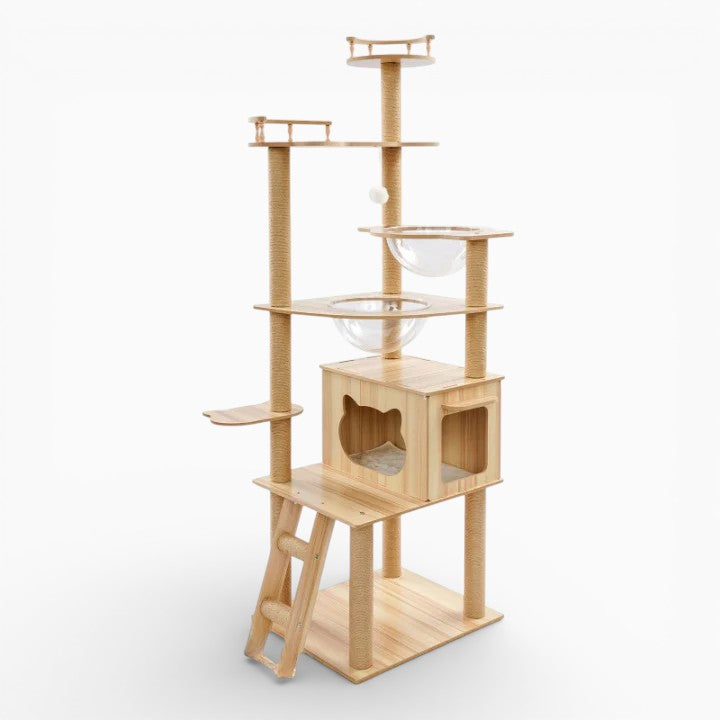 Arbre à Chat - Simba