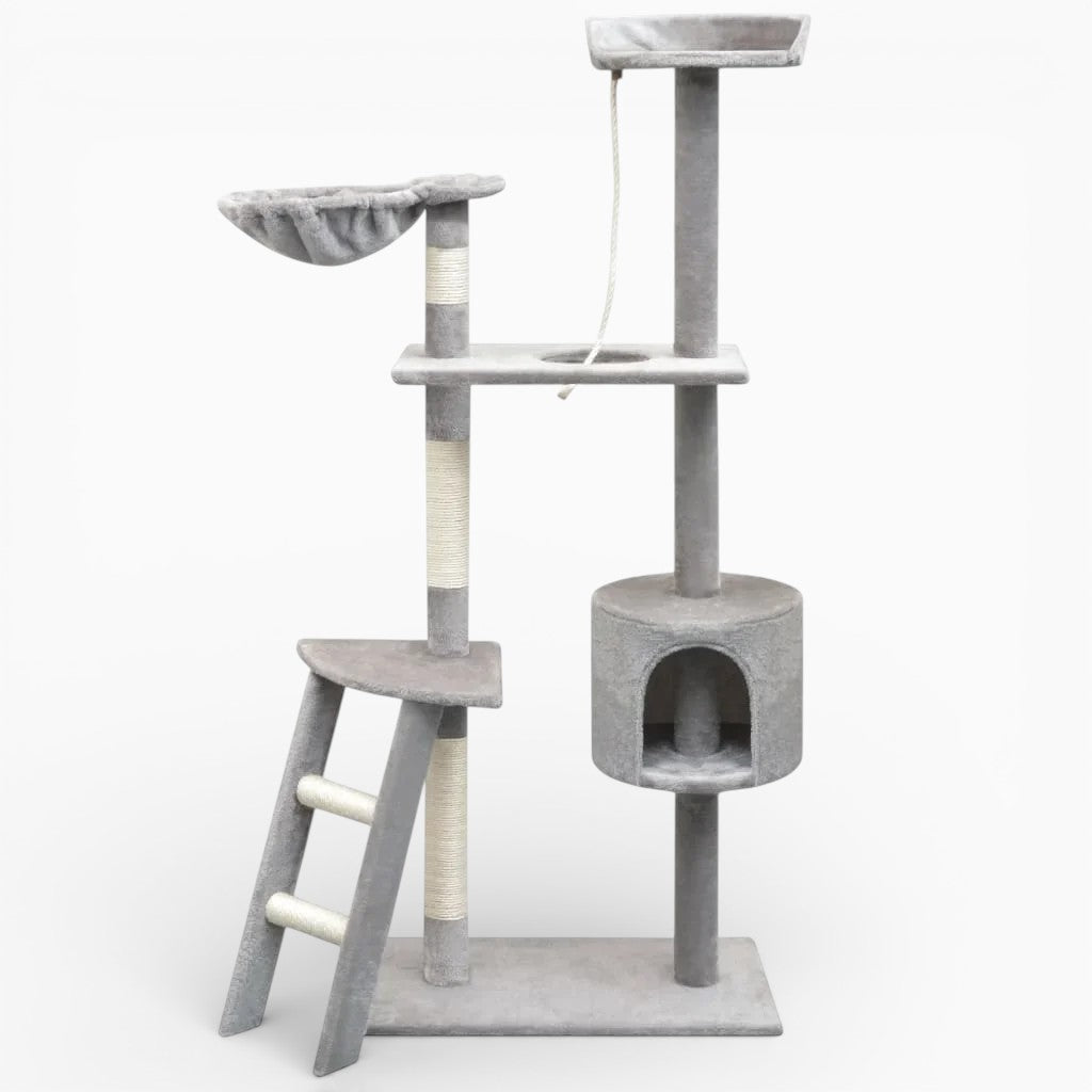 Arbre à Chat - Atlas