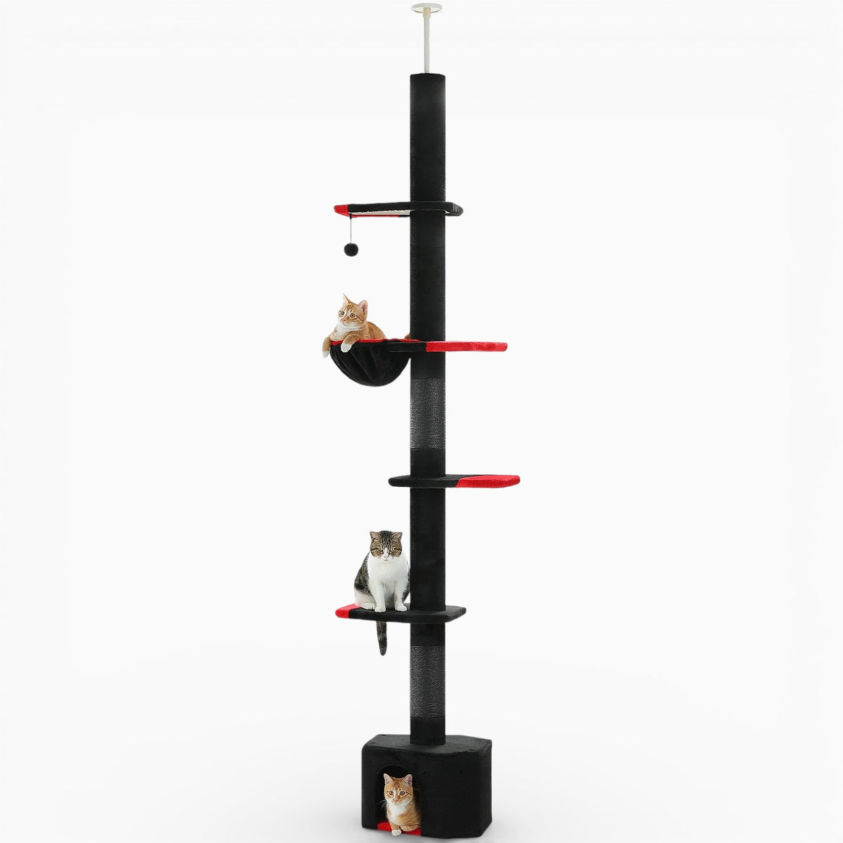 Arbre à Chat - Elmo