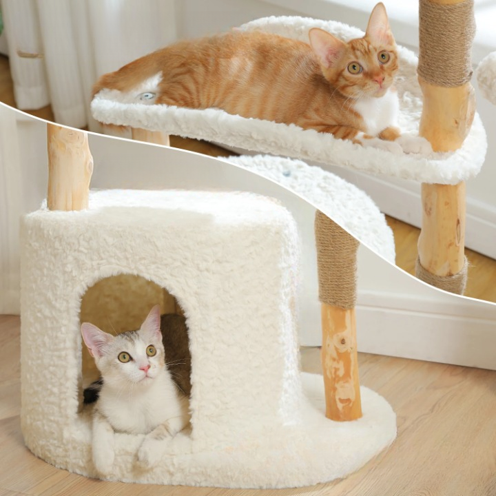 Arbre à chat moderne avec lit condo de luxe et griffoirs en bois