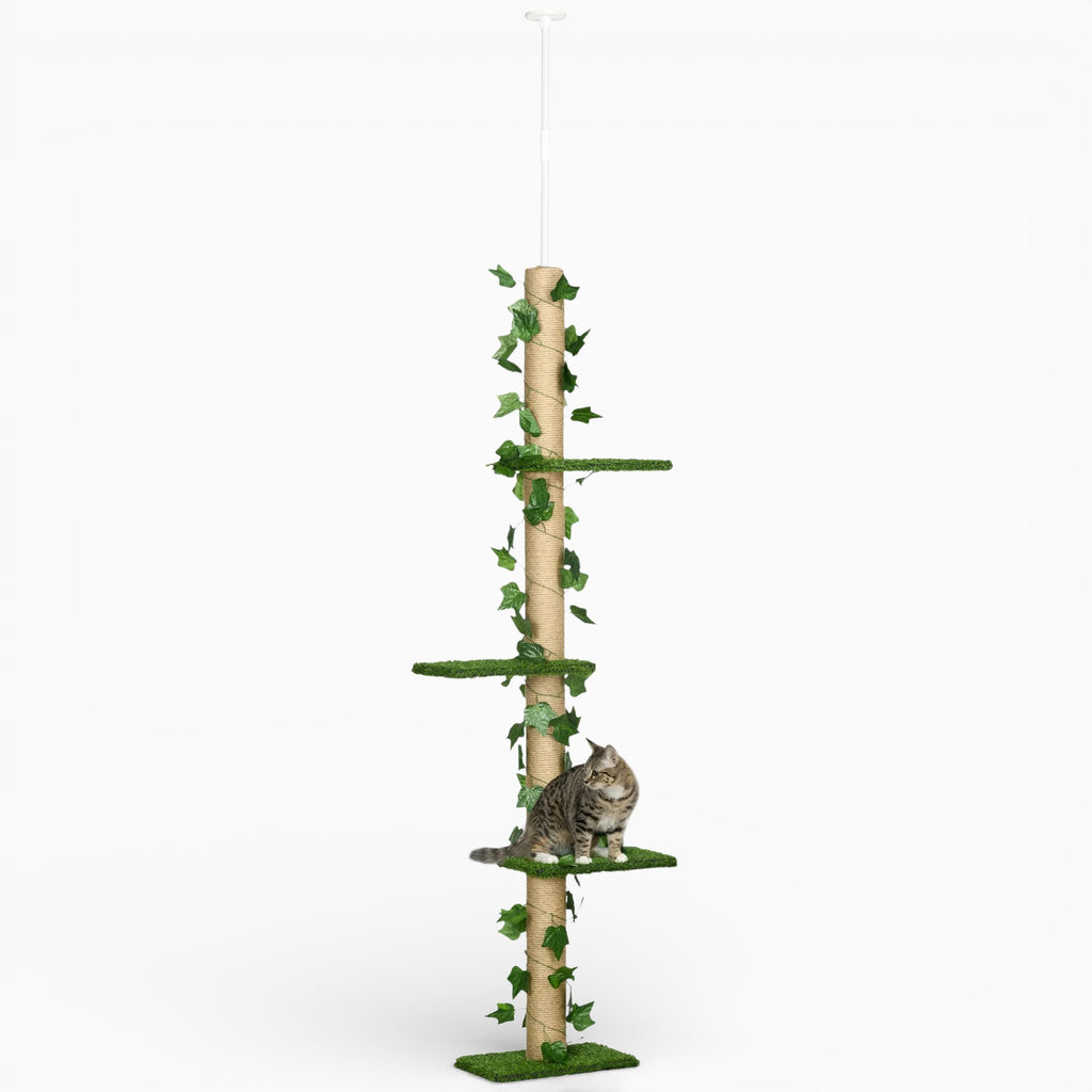 Arbre à Chat - Kira