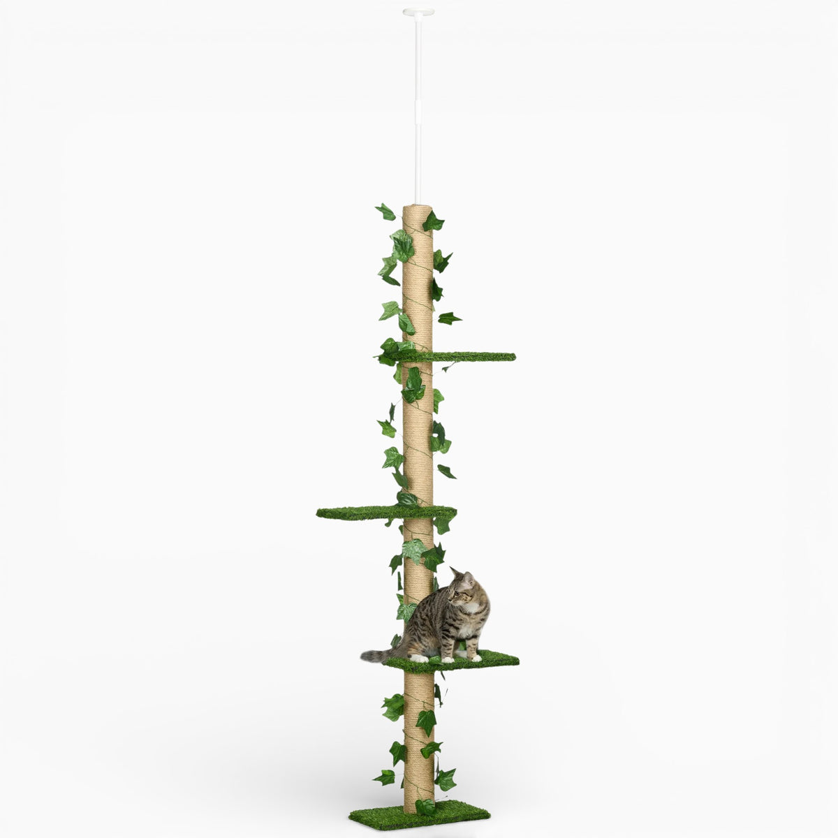 Arbre à Chat - Kira