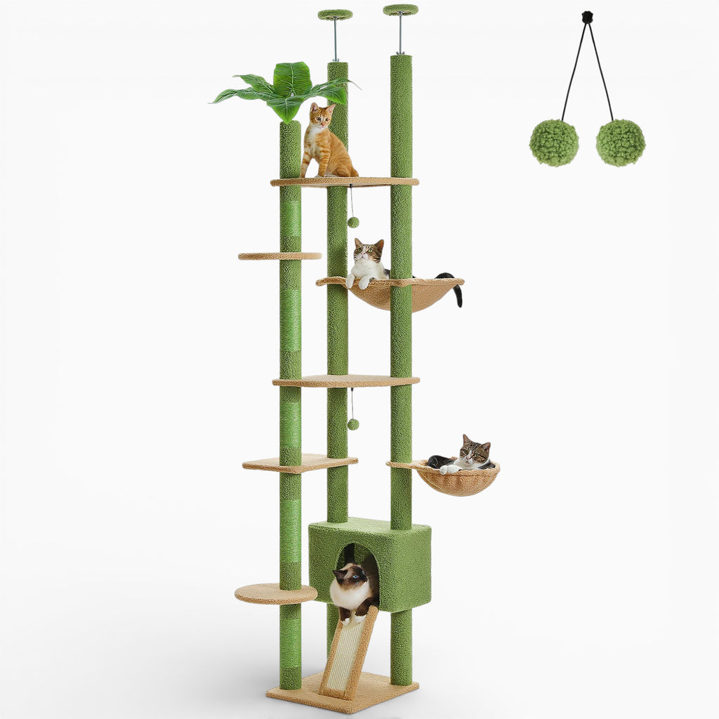 Arbre à Chat - Koda
