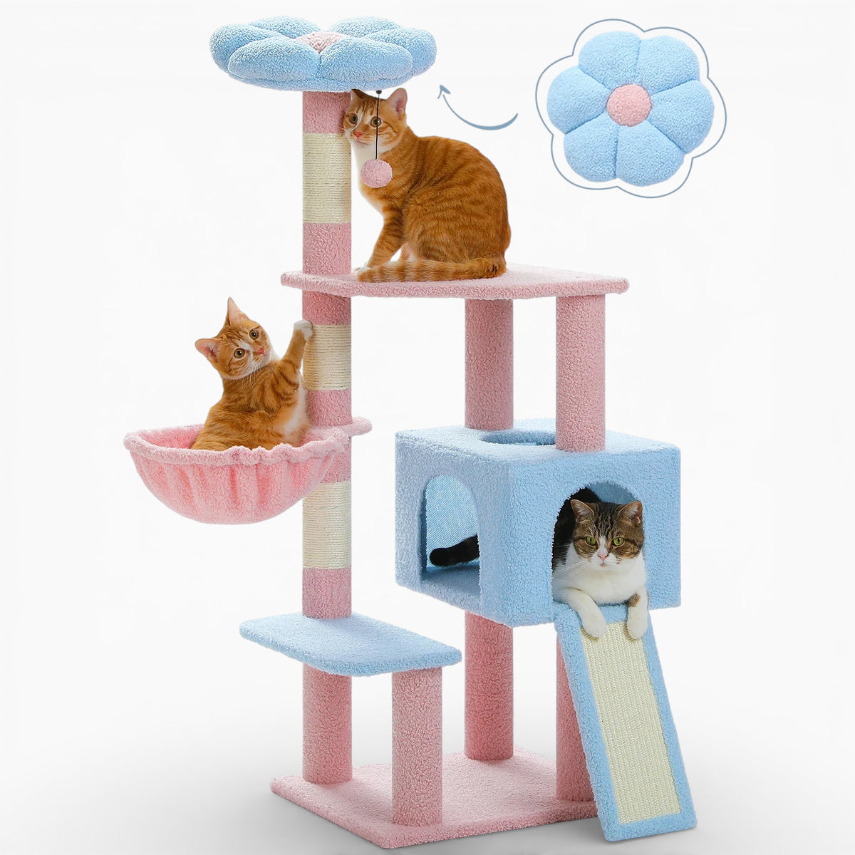 Arbre à Chat - Floryx