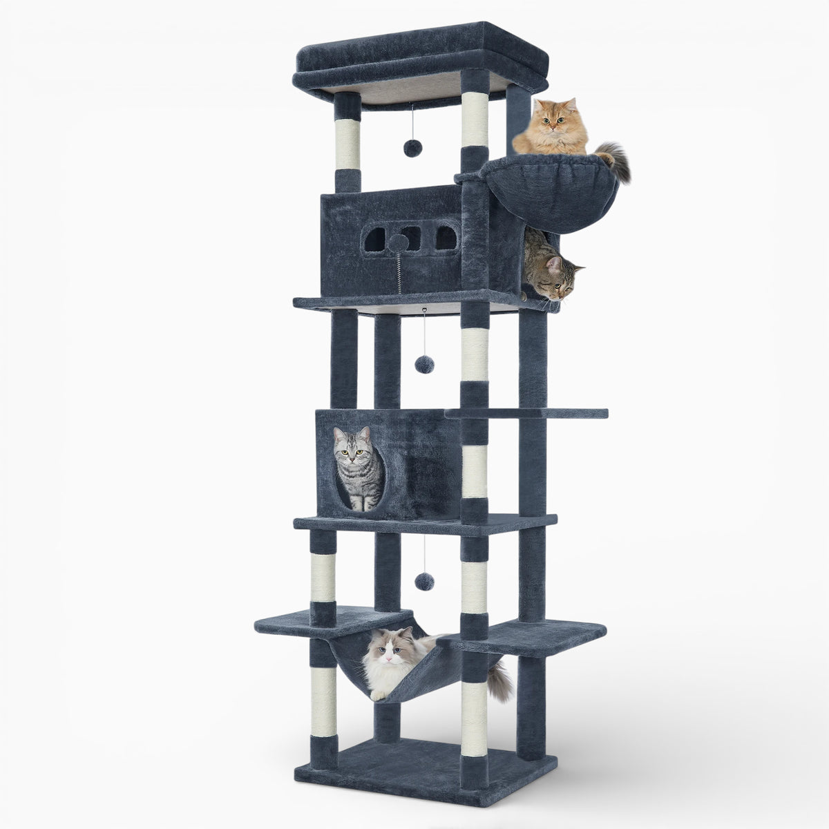 Arbre à Chat - Ulysse